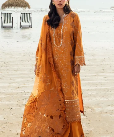 1 a37bca74 18db 4e04 ae4a 4db68ec66666 webp