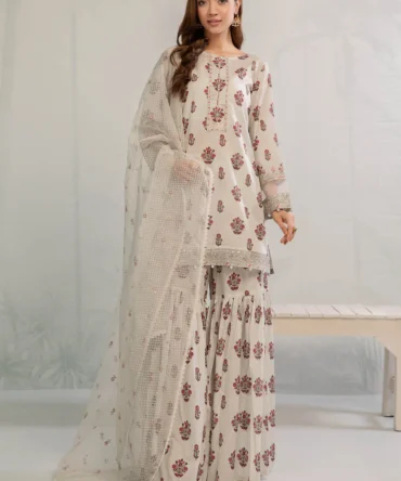 DW EA23 06 White 5fc0827b 4a59 487d 9d9e a6115dd10651 1800x1800 webp