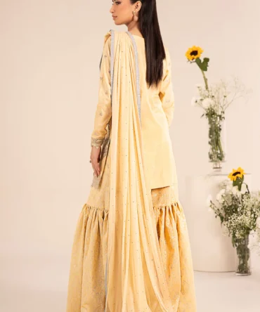 DW EF25 61 Coffee Back C 1800x1800 webp