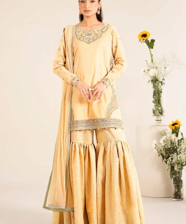 DW EF25 61 Coffee Front A 1800x1800 webp