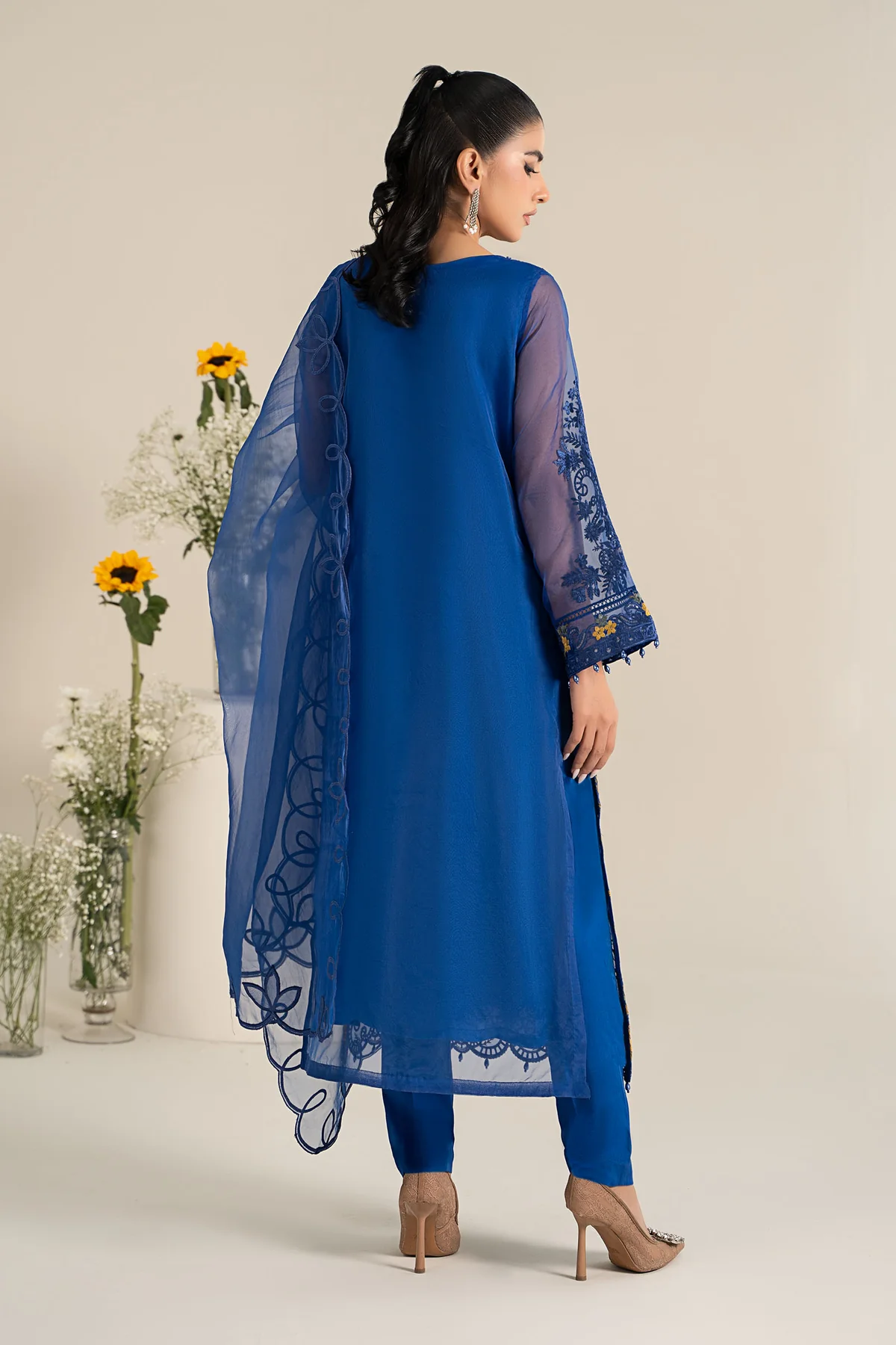 DWEF2502BlueBack C 1800x1800 webp