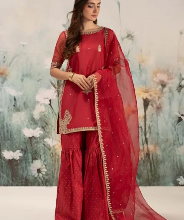 DWEf25102RedFront A 1800x1800 webp