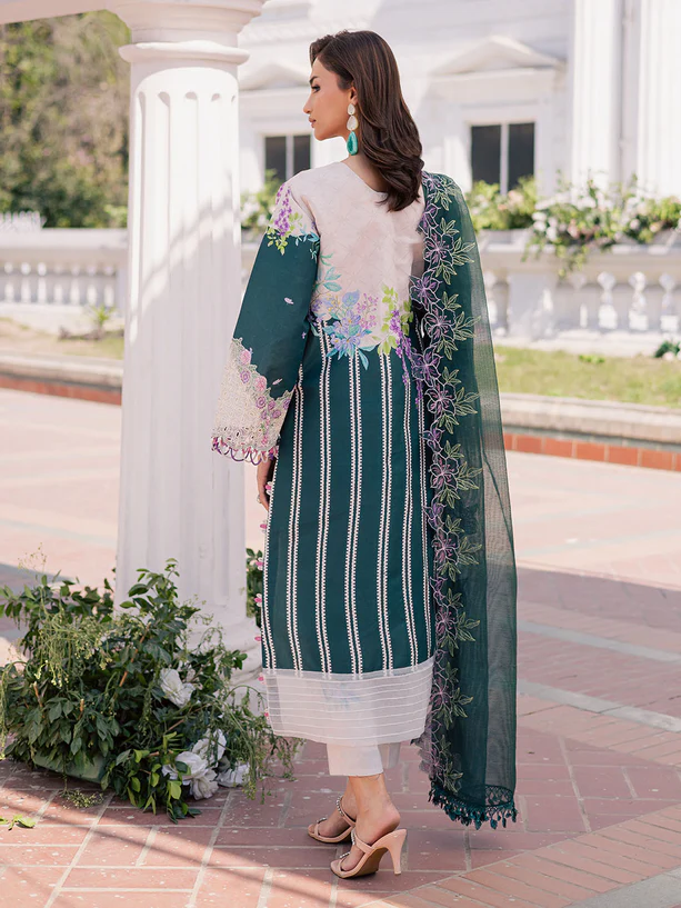 BLOOM 01 3 613x progressive