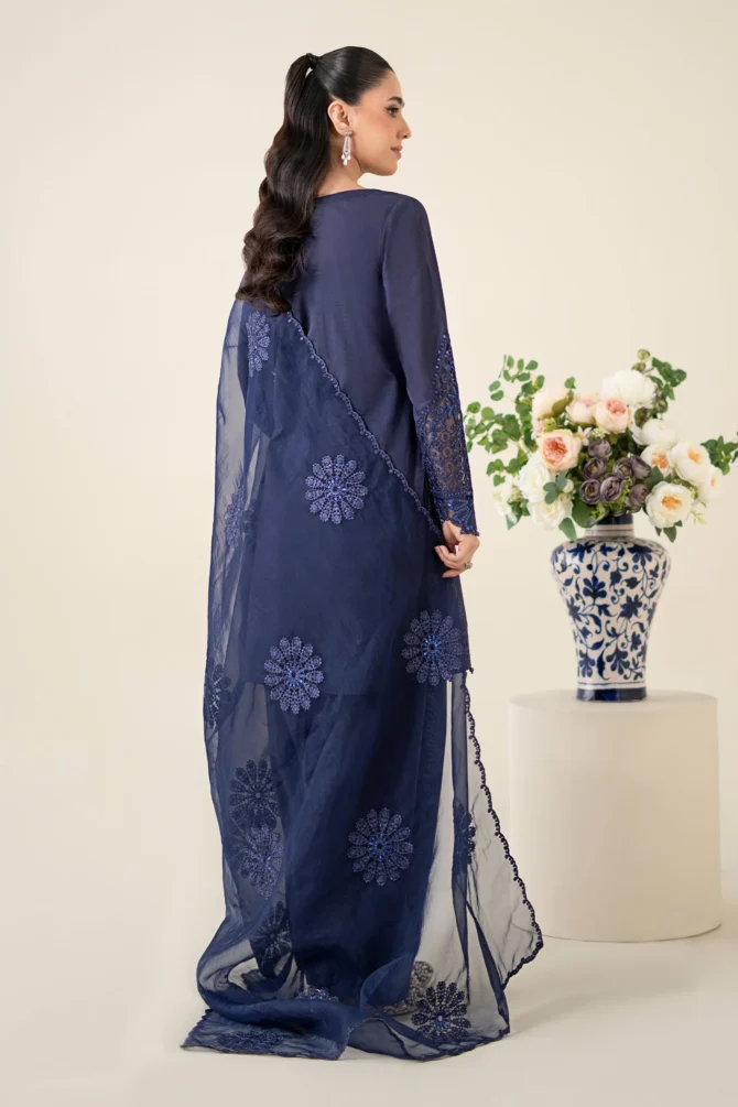DWEA2568BlueBack C 2400x2400