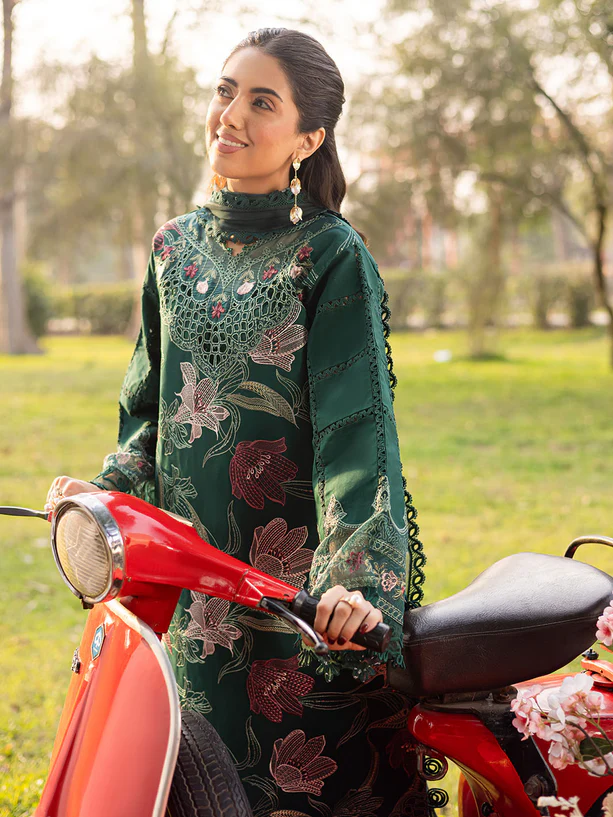 SHR 05 2 613x progressive