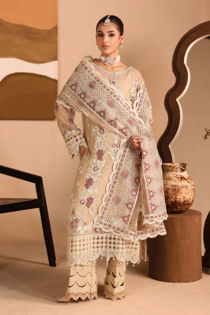 kashish resized 17