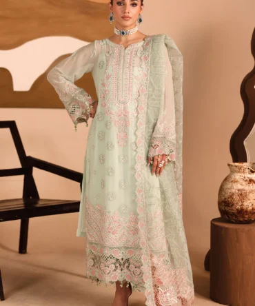 kashish resized 21