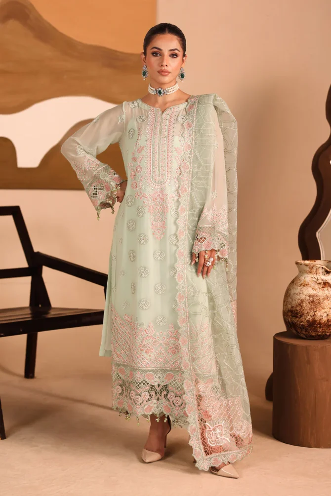 kashish resized 21