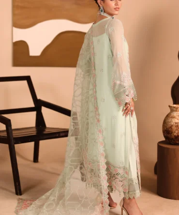 kashish resized 23