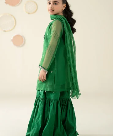 MKSW2513GreenBack C 2400x2400
