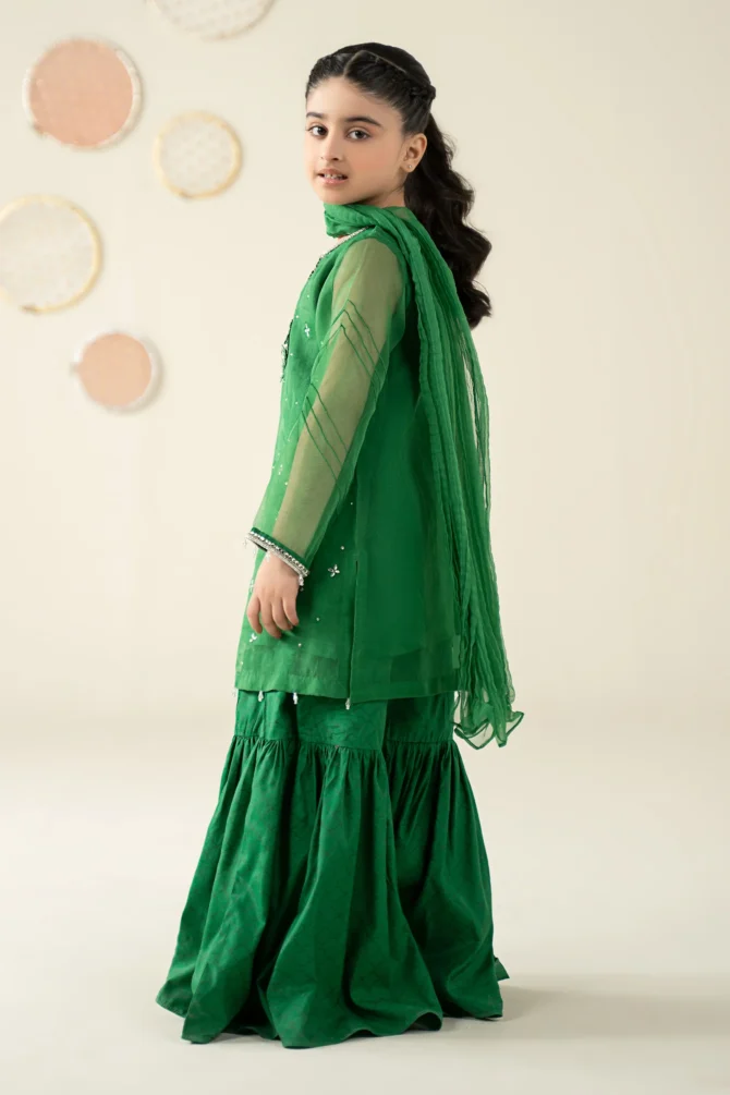 MKSW2513GreenBack C 2400x2400