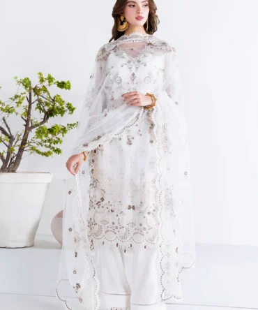 arzoo resized 20
