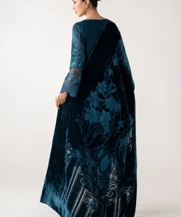 DW W 25 24 Back C 2400x2400