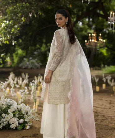 3215 3 7725b586 8baa 4ed5 baf7 c535b235d3ce