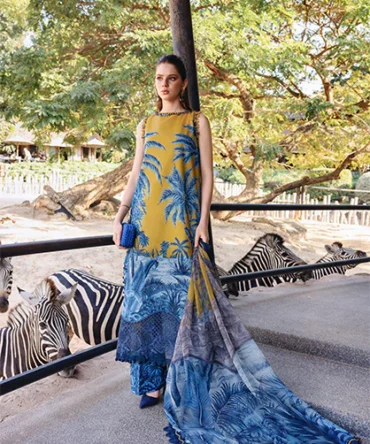 D 11AFront A a917728f 1b86 4774 a4b9 a97ee6748d95