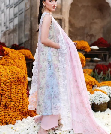 Untitled 1 0000 7I0A1417