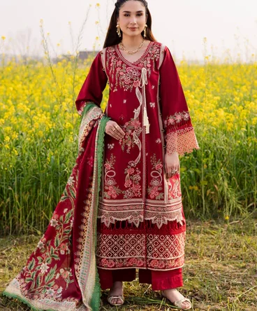 1C0A0665 368x progressive