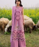 1C0A1462 466x progressive