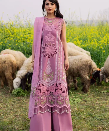 1C0A1462 466x progressive