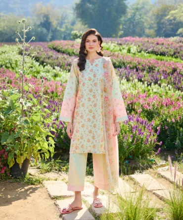 1 6d73048c b76e 496c 8462 00dfcc654c76