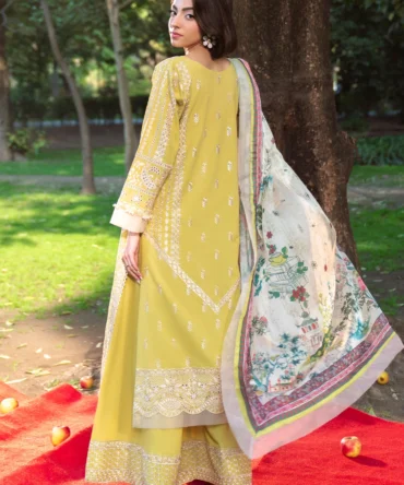 20260226104344 34ad2b94e35a407a media image a92a16f2425d4ef7ba608ca7288f1433