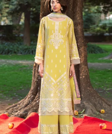 20260226104345 5c20b54515e740e1 media image 43dd79c8ae8f48a1aeef4fd57e6c40d2