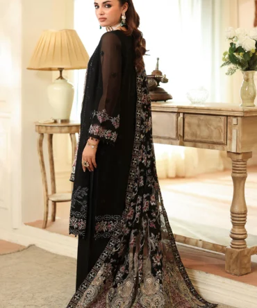 ramsha dastan resized data 30