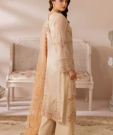 satrangi resized data 10