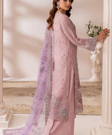 satrangi resized data 28