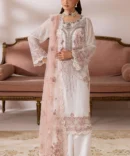 satrangi resized data 35