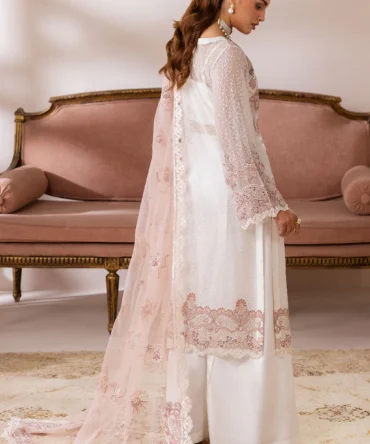 satrangi resized data 38