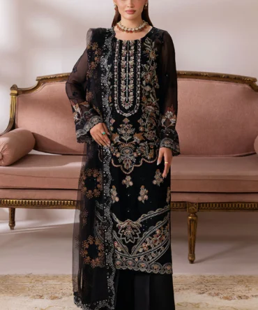 satrangi resized data 45