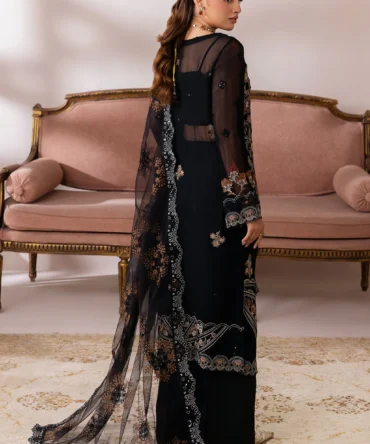 satrangi resized data 48