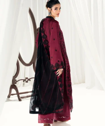 WEB IMAGE 0008 DSC04103