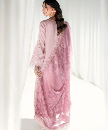 WEB IMAGE 0030 DSC02873